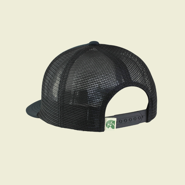 Waterman Bolt Snapback